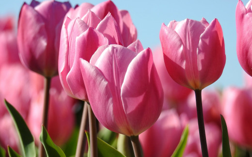 1165324 (a): :2880x1800